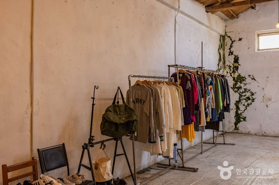 제주_인디고트리 (6)