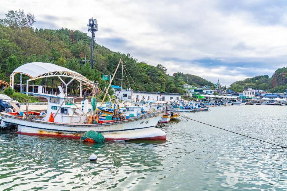 thumbnail-대진항(영덕)-7