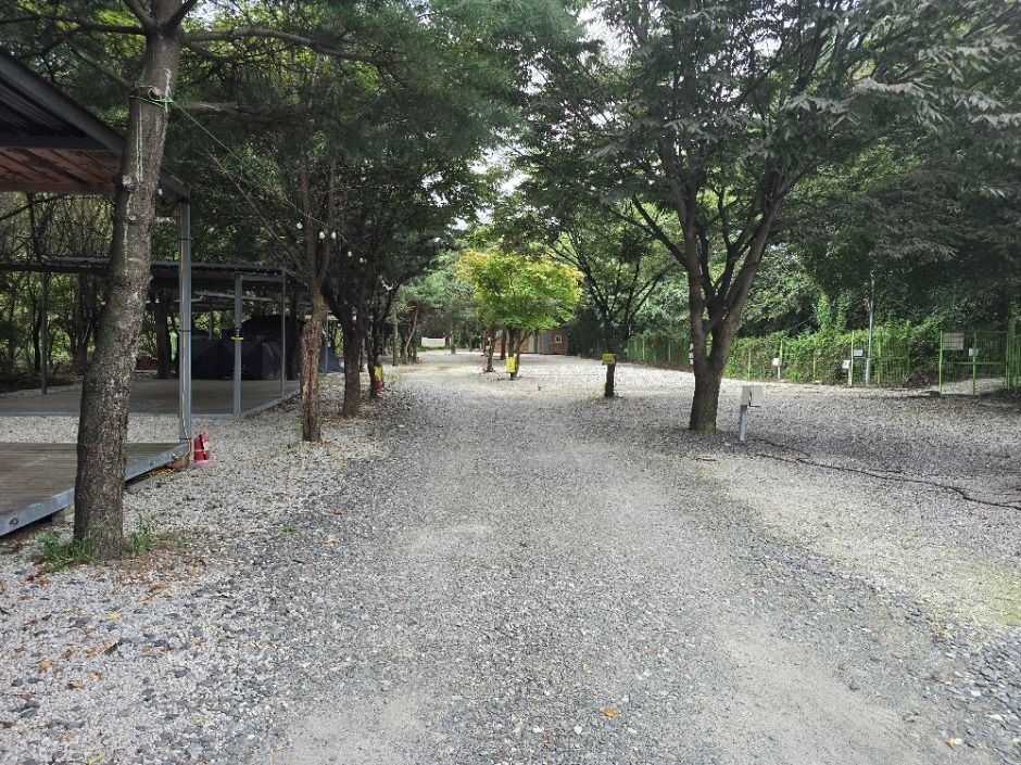 레이크문캠핑장