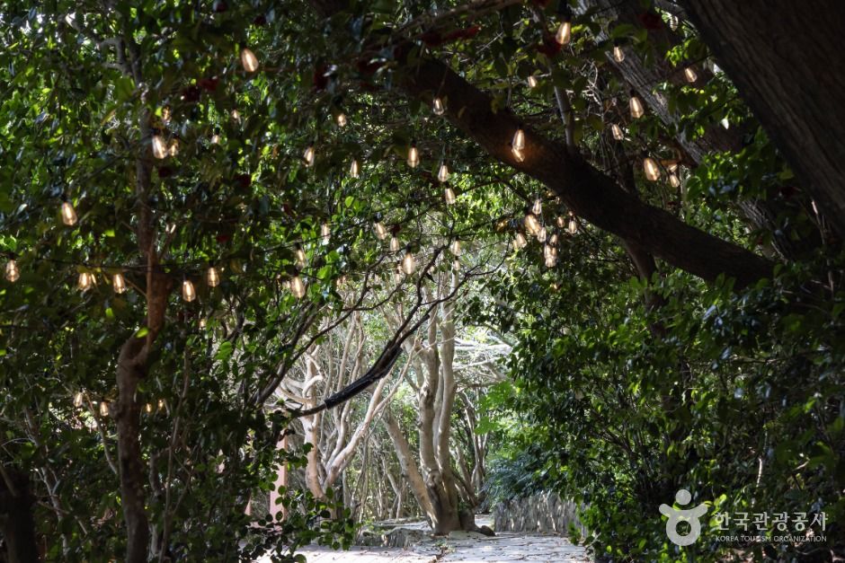 thumbnail-장사도해상공원 까멜리아-26