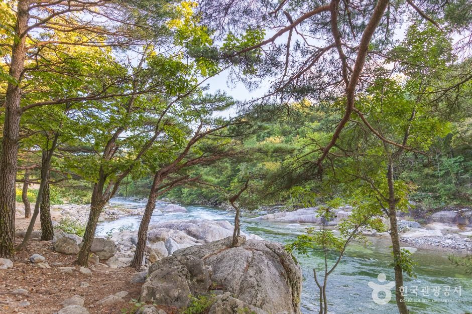 도원리계곡