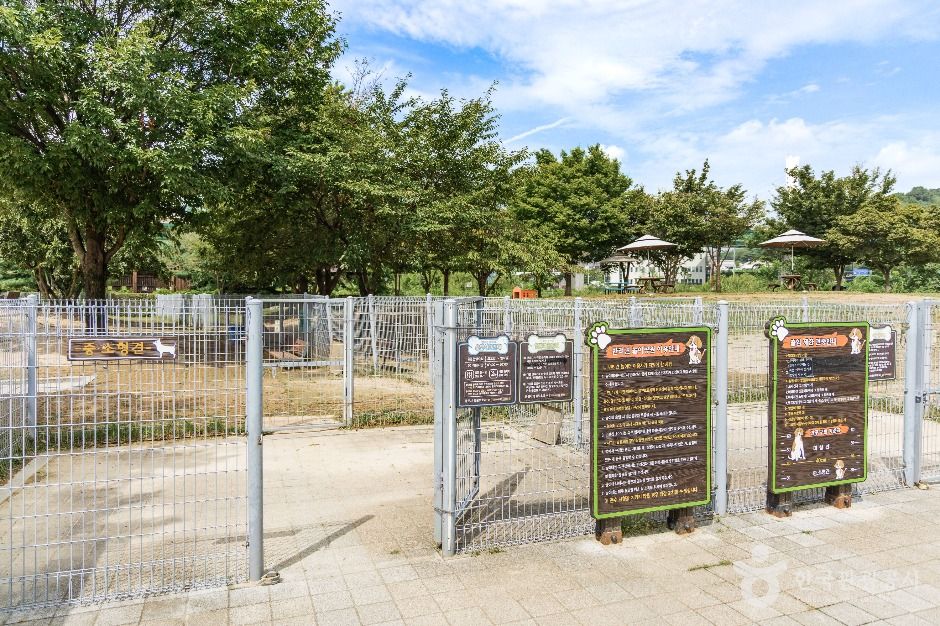 기흥레스피아호수공원 반려동물놀이터