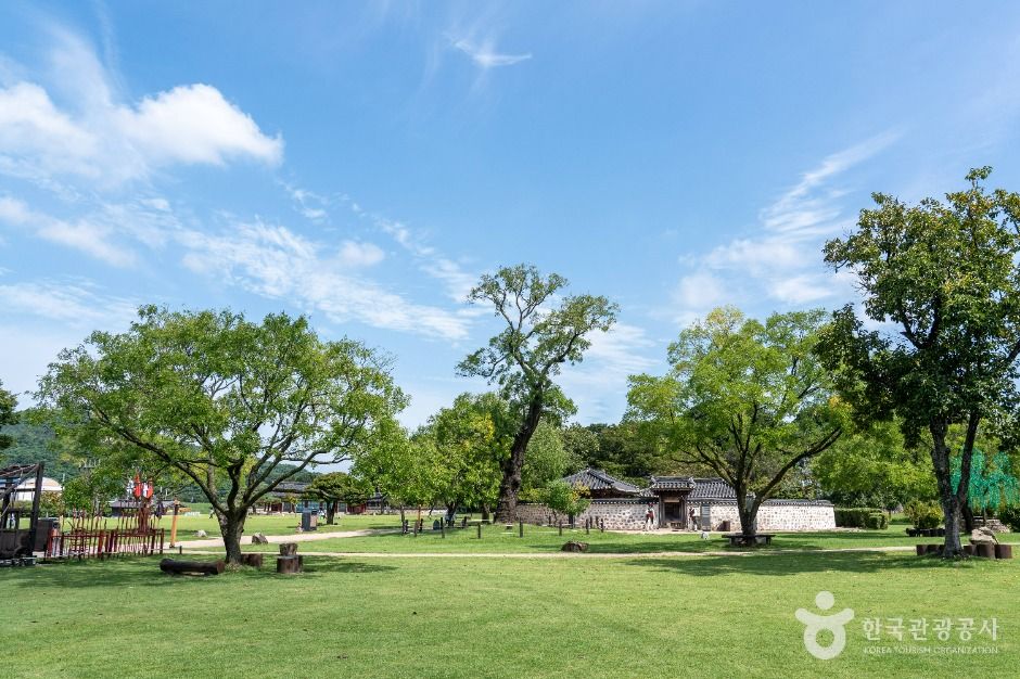 서산 해미읍성 회화나무