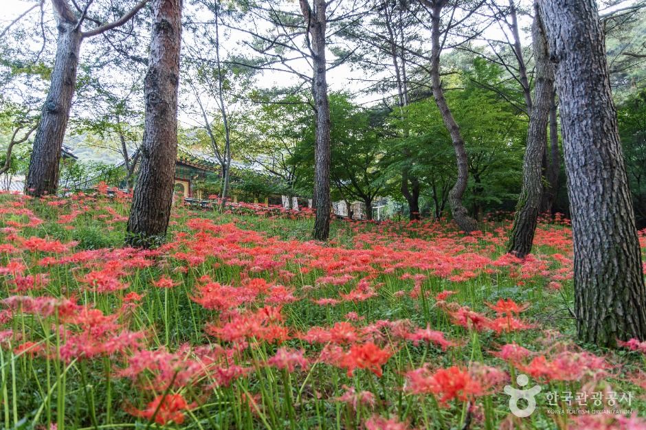 예산_수덕사(예산) (7)