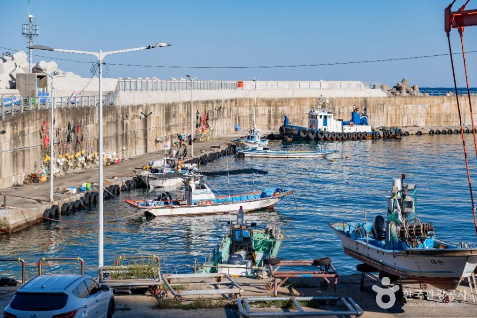 thumbnail-대진항(삼척)-2