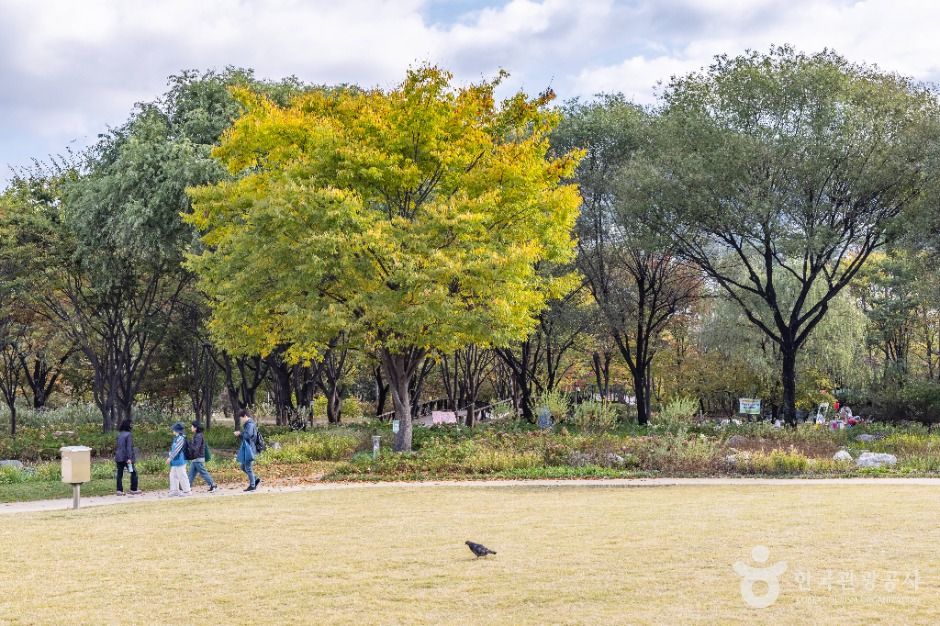 서울_서울창포원 (15)