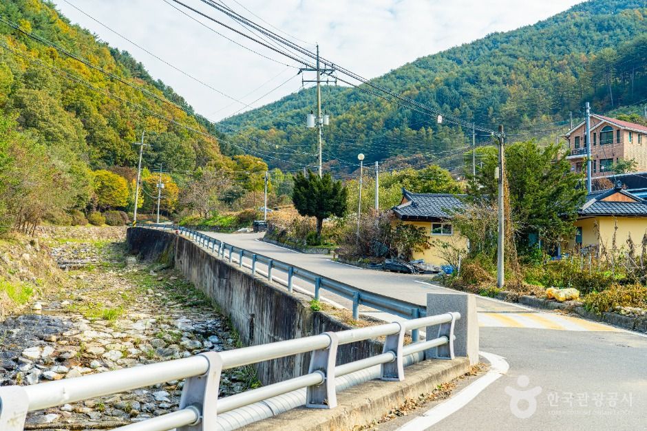 인제_소치길 (3)