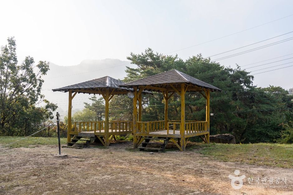 제천 산야초마을