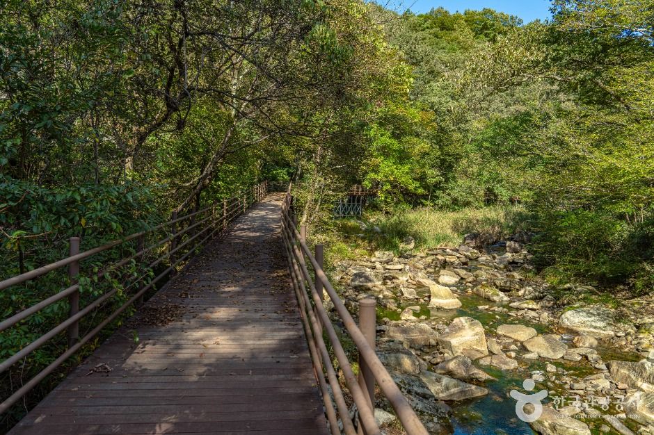 덕산계곡(덕산용소)