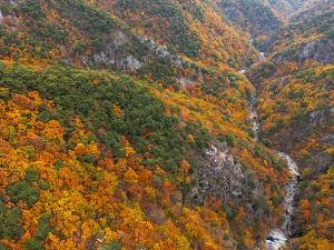 포항_내연산보경사시립공원 (6)