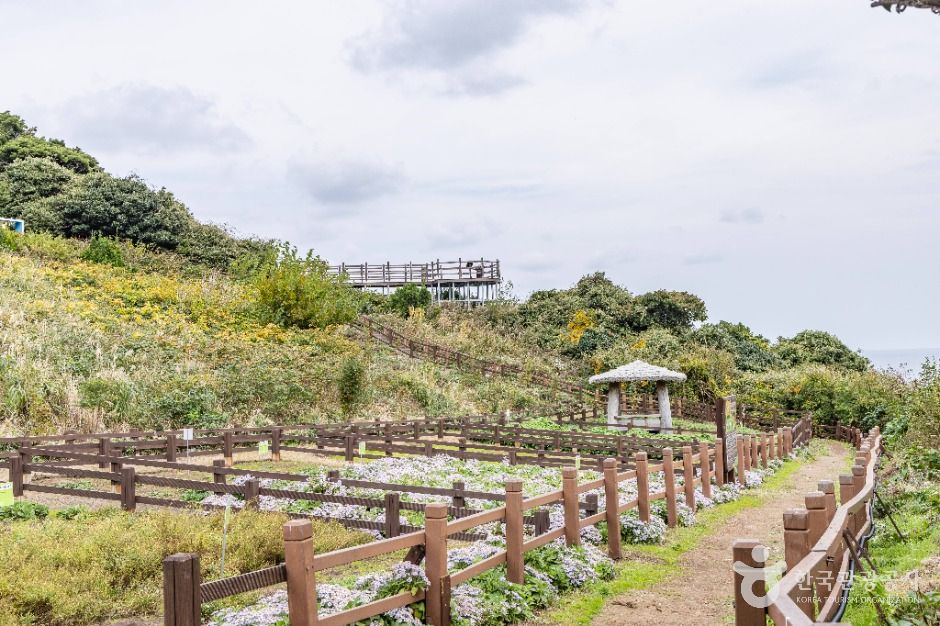 관음도 (울릉도, 독도 국가지질공원)