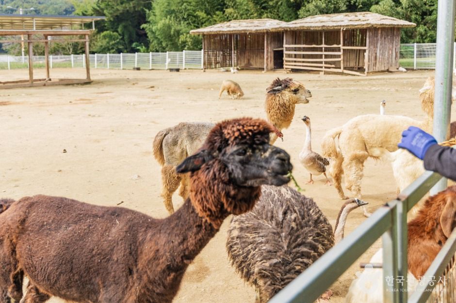 thumbnail-익산 액션하우스-6