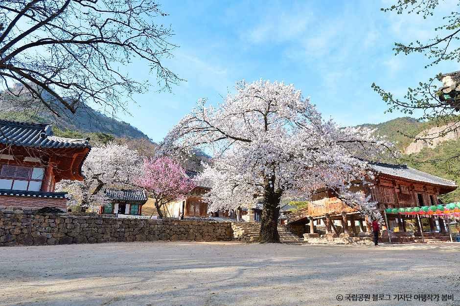 thumbnail-내소사(부안)-12