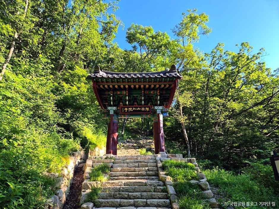 thumbnail-치악산국립공원-5