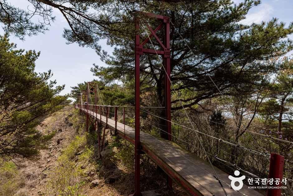 thumbnail-부아산 구름다리-3