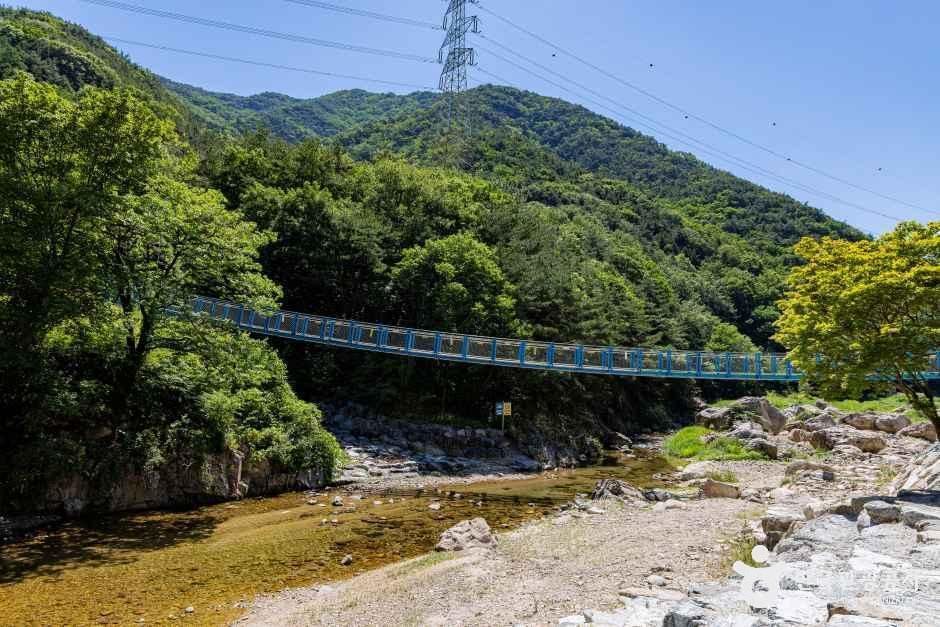 thumbnail-장령산자연휴양림-7