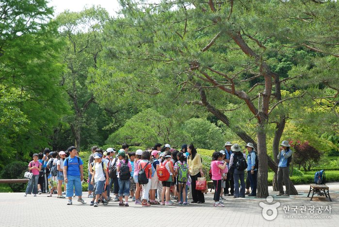 Korea National Arboretum and Forest Museum (국립수목원-구, 광릉수목원)