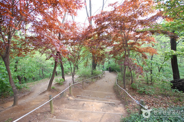 阿且山城（아차산성）