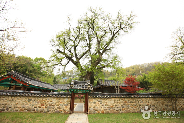 Jeonjuhyanggyo Confucian School (전주향교)