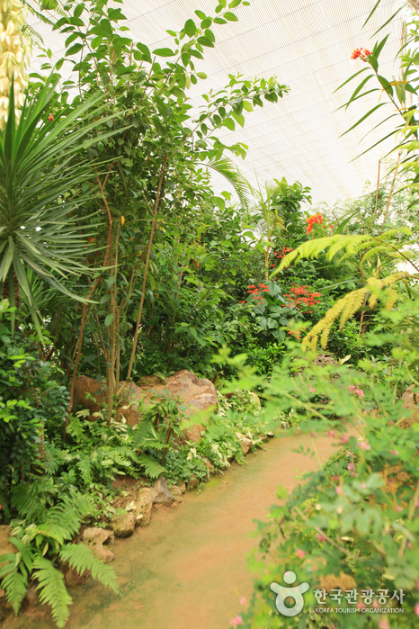 Ewhawon Garden (이화원)