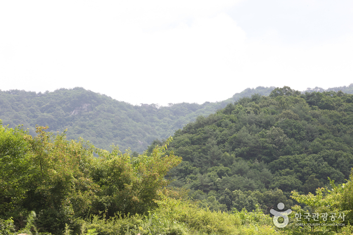 용화산 (강원평화지역 국가지질공원)
