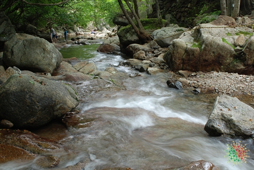 Mulhan Valley (물한계곡)