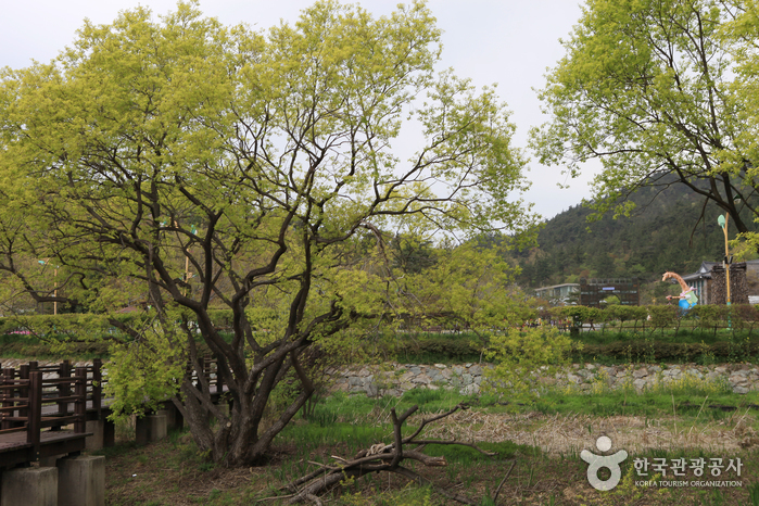 Природно-экологический парк Хампхён (함평 자연생태공원)