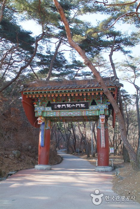 Yongmunsa Temple (Yongmunsan Mountain) (용문사-용문산)
