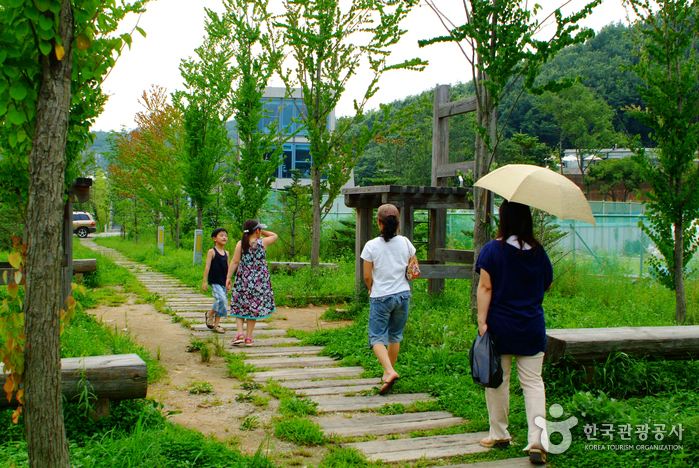 Heyri Artvalley (헤이리 문화예술마을)