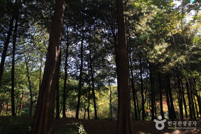 Bonghwasan Mountain - Seoul (봉화산 (서울))