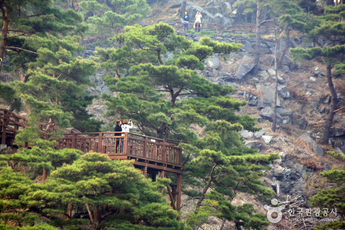 Sanmagi Old Trail (산막이옛길)