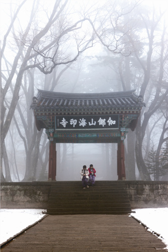 해인사(합천) 사진14