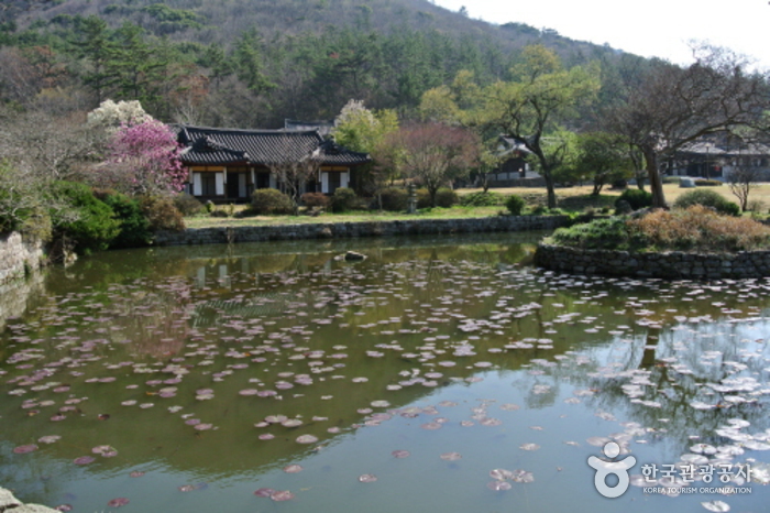 진도 운림산방 사진17
