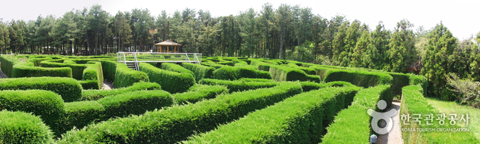Gimnyeong Maze Park (김녕미로공원)
