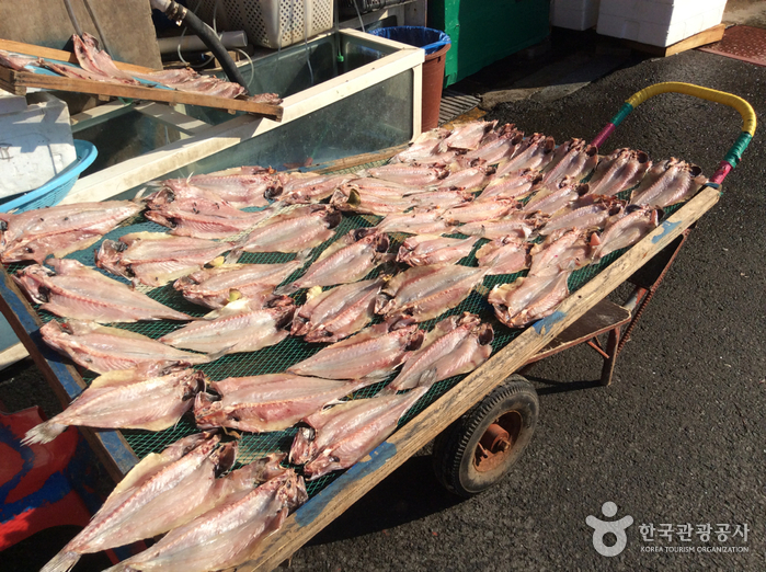 麗水中央鮮魚市場（여수중앙선어시장）