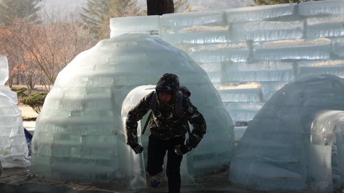 남이섬 겨울축제 'Winter Wonder, Nami Island' 20191
