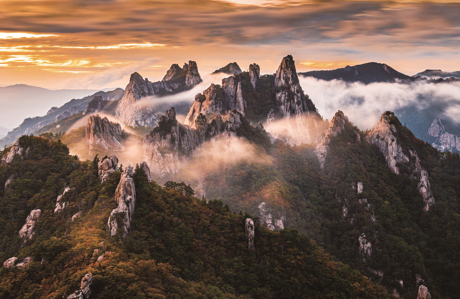 雪岳山缆车与植物园: VISITKOREA