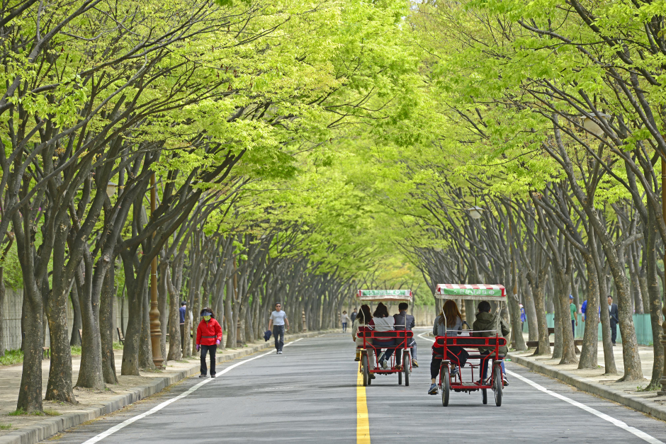 Gran Parque de Incheon (인천대공원)
