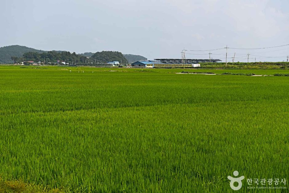 장흥_고마리마을 (6)