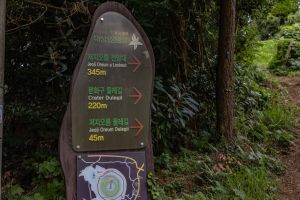 저지오름(닥몰오름,새오름)
