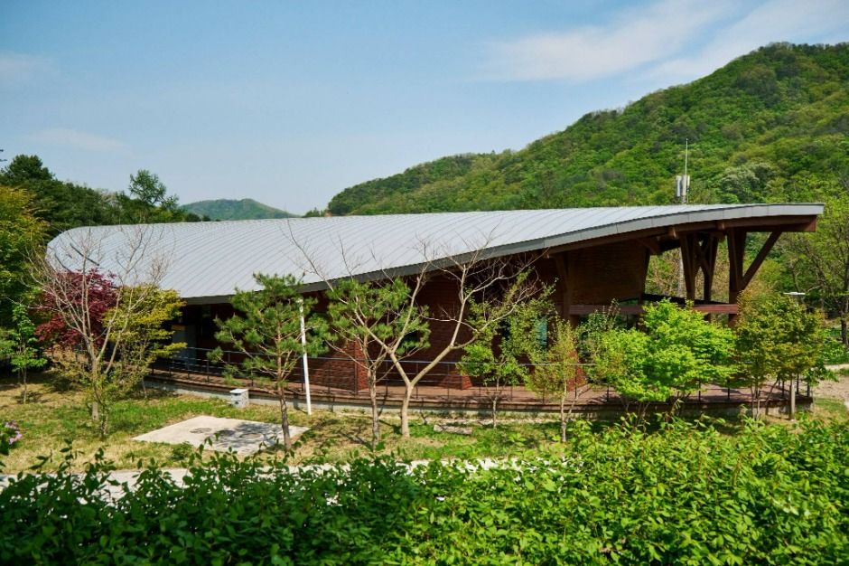 화천 산약초 마을