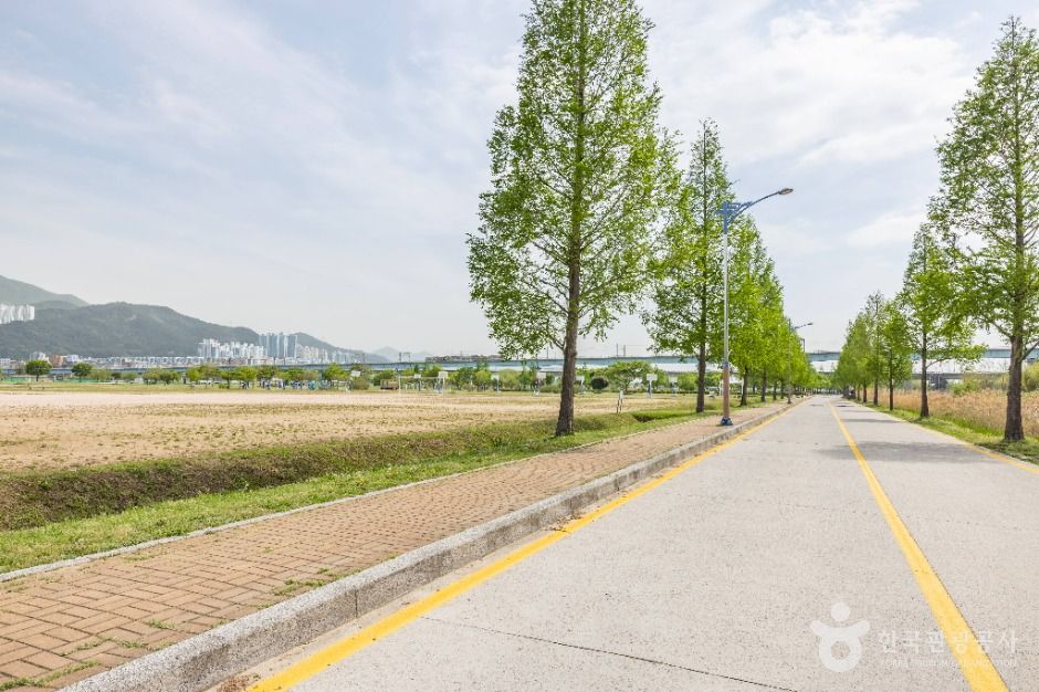 thumbnail-대저생태공원-26