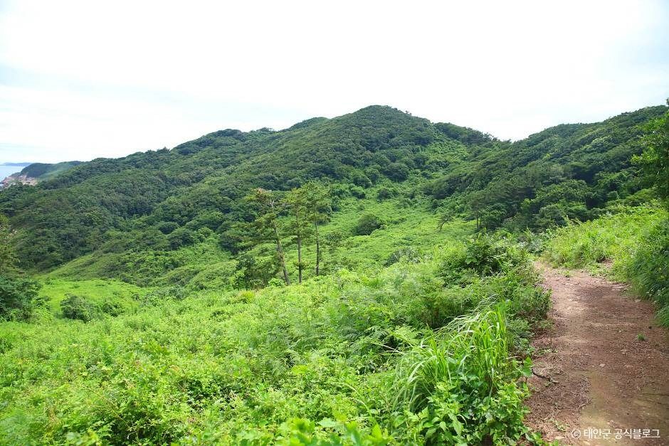 가의도 - 태안 가의도, 시간이 멈춘 섬의 역사와 비밀 관련 이미지
