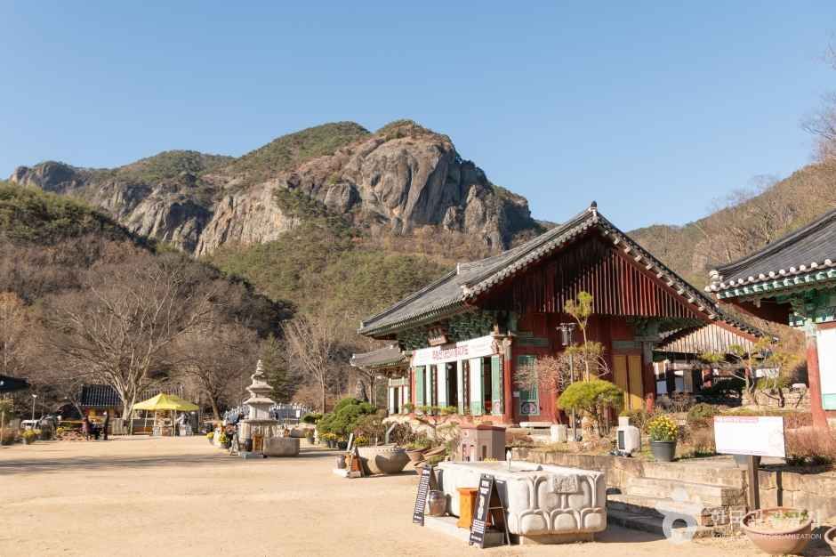 대전사