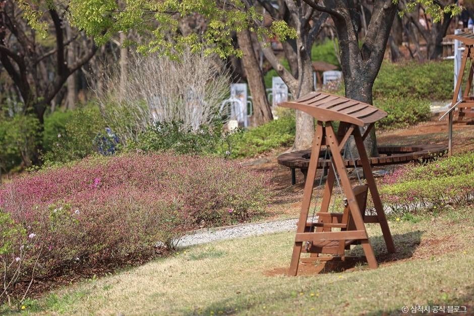 삼척_봉황산산림욕장 (4)