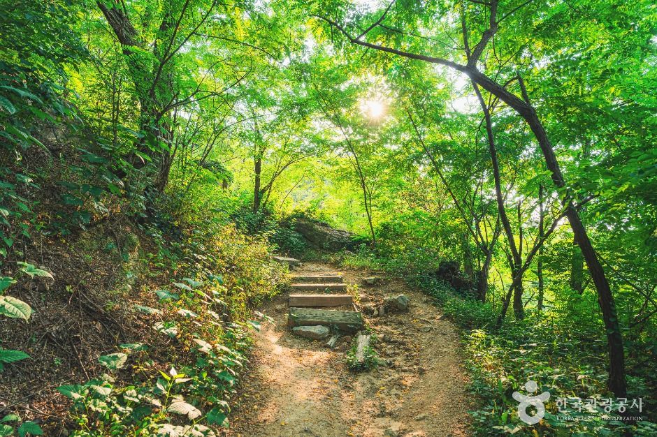 서대문 안산