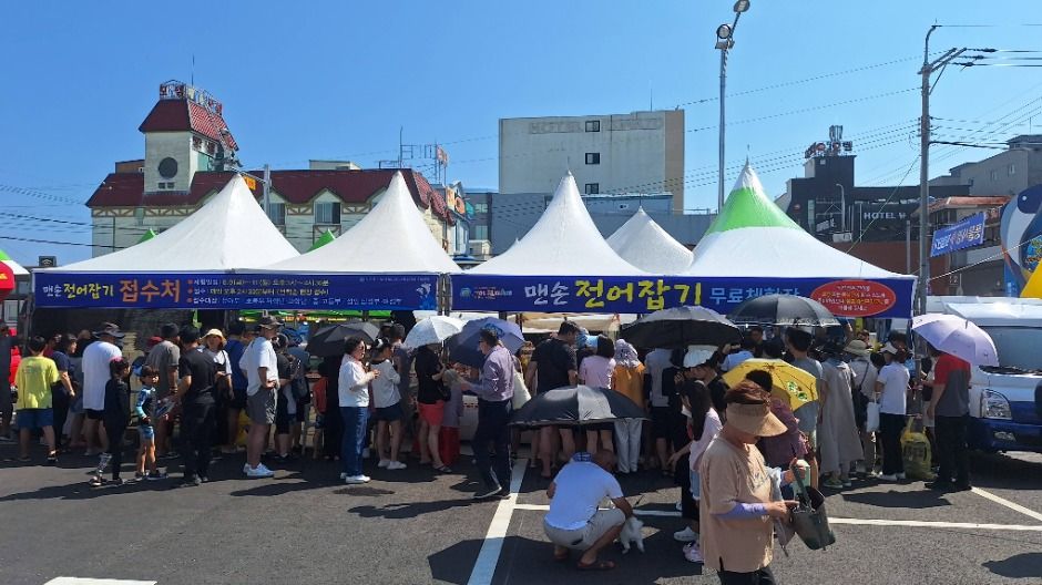 thumbnail-사천시 삼천포항 자연산 전어축제-28