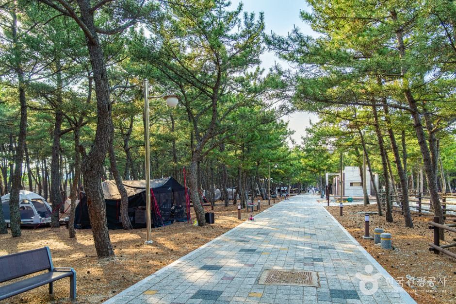 덕천해수욕장