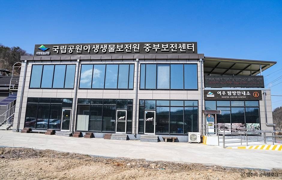 여우생태관찰원