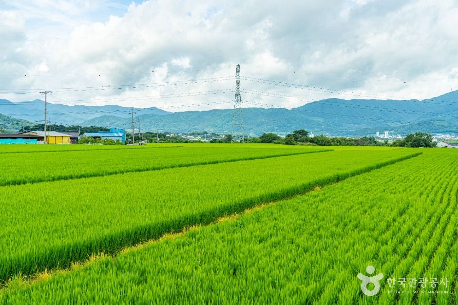 구례_용두마을 (12)